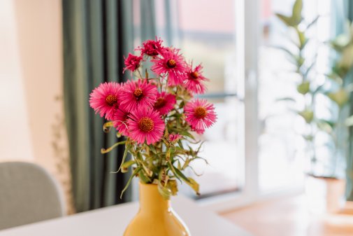 Daheim am regen - Ambulante Pflege -Blumen
